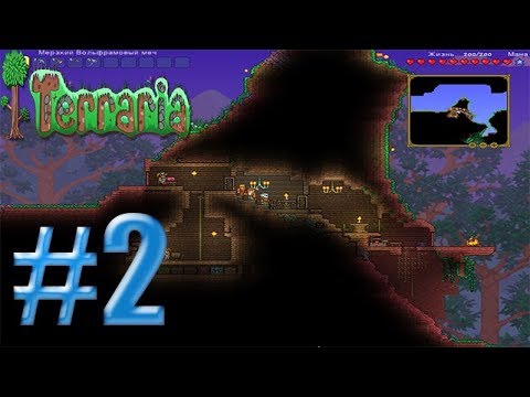 Terraria //      